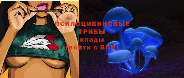 мет Алексин