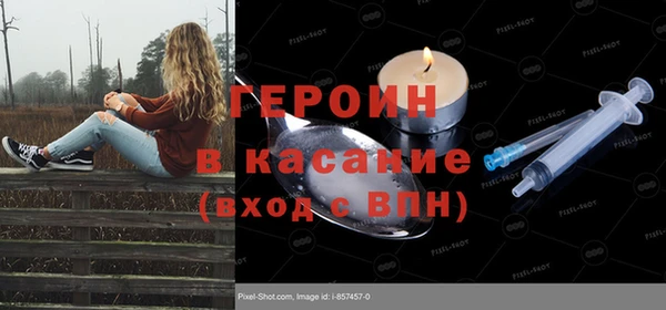 мет Алексин