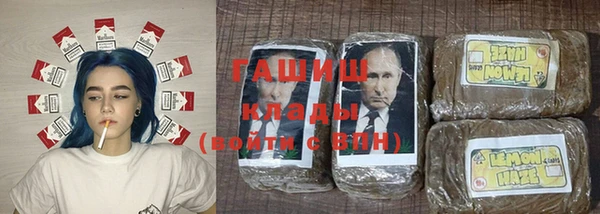 мет Алексин