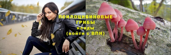 мет Алексин