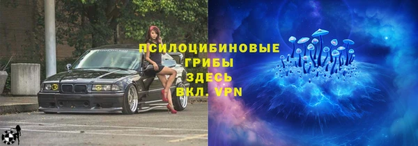 мет Алексин