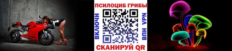 Галлюциногенные грибы MAGIC MUSHROOMS  Боровск 
